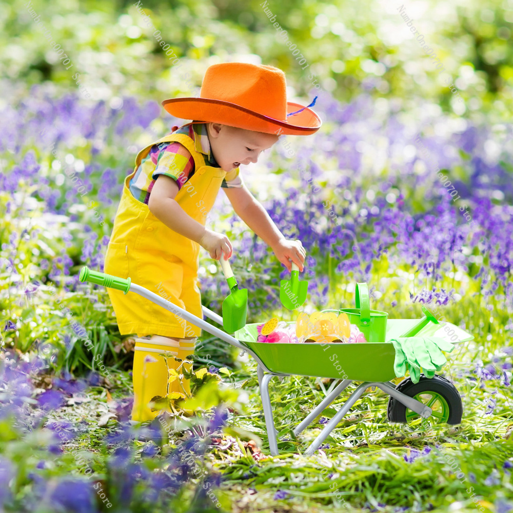 Kids Outdoor Wheelbarrow, Gree - Kids Outdoor Activity Set review and price