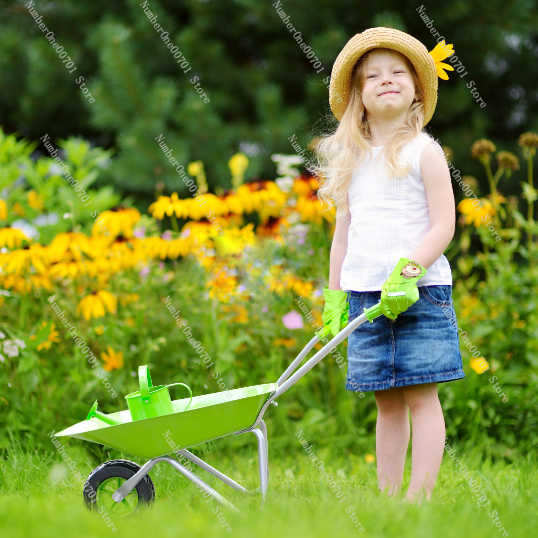 Kids Outdoor Wheelbarrow, Gree - Kids Outdoor Activity Set review and price
