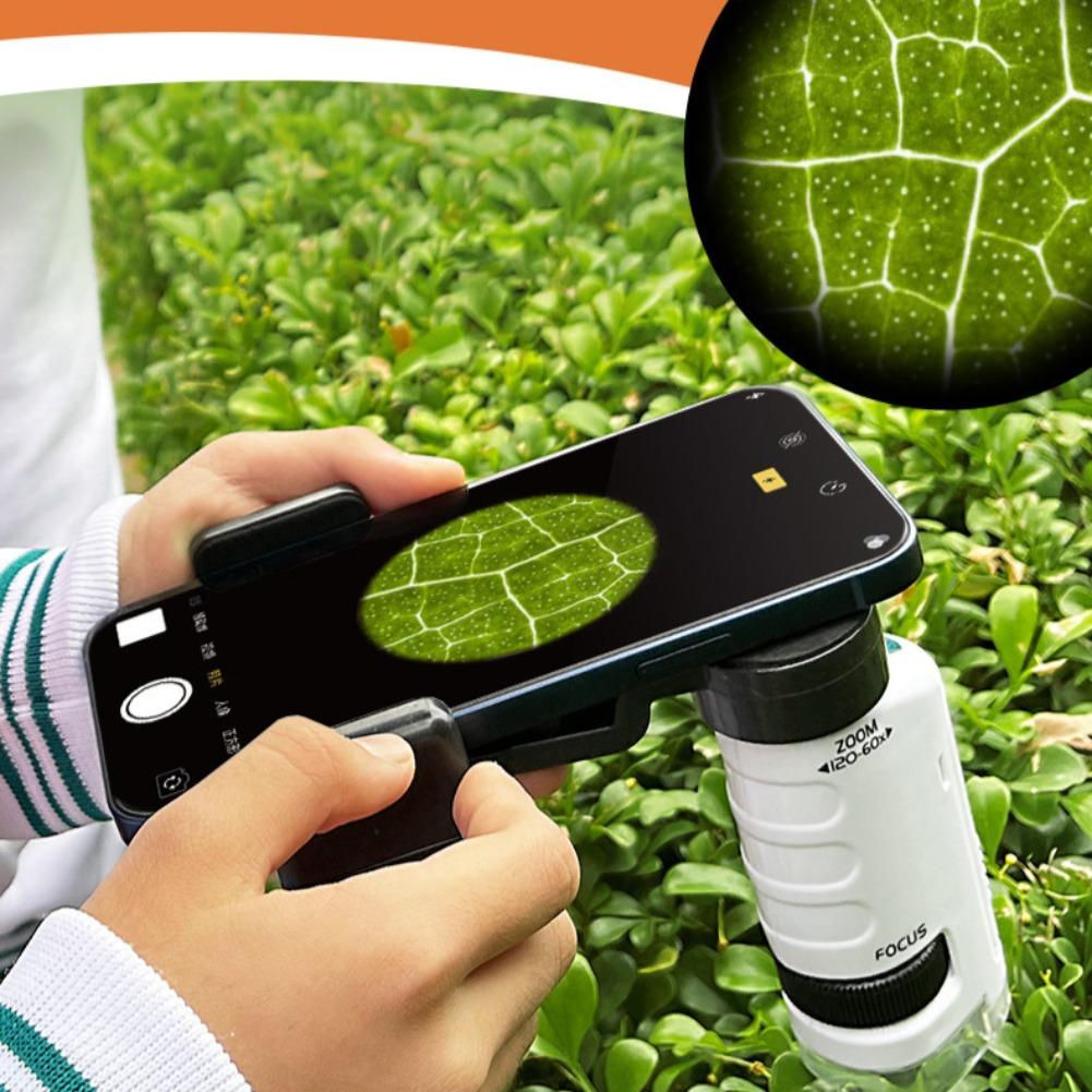 Pocket Microscope 60-120X With - Kids Outdoor Microscope review and price