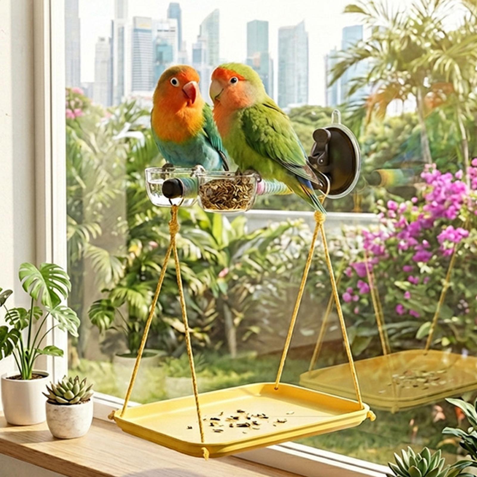 Bird Perch with Suction Cup an - Kids Outdoor Car review and price