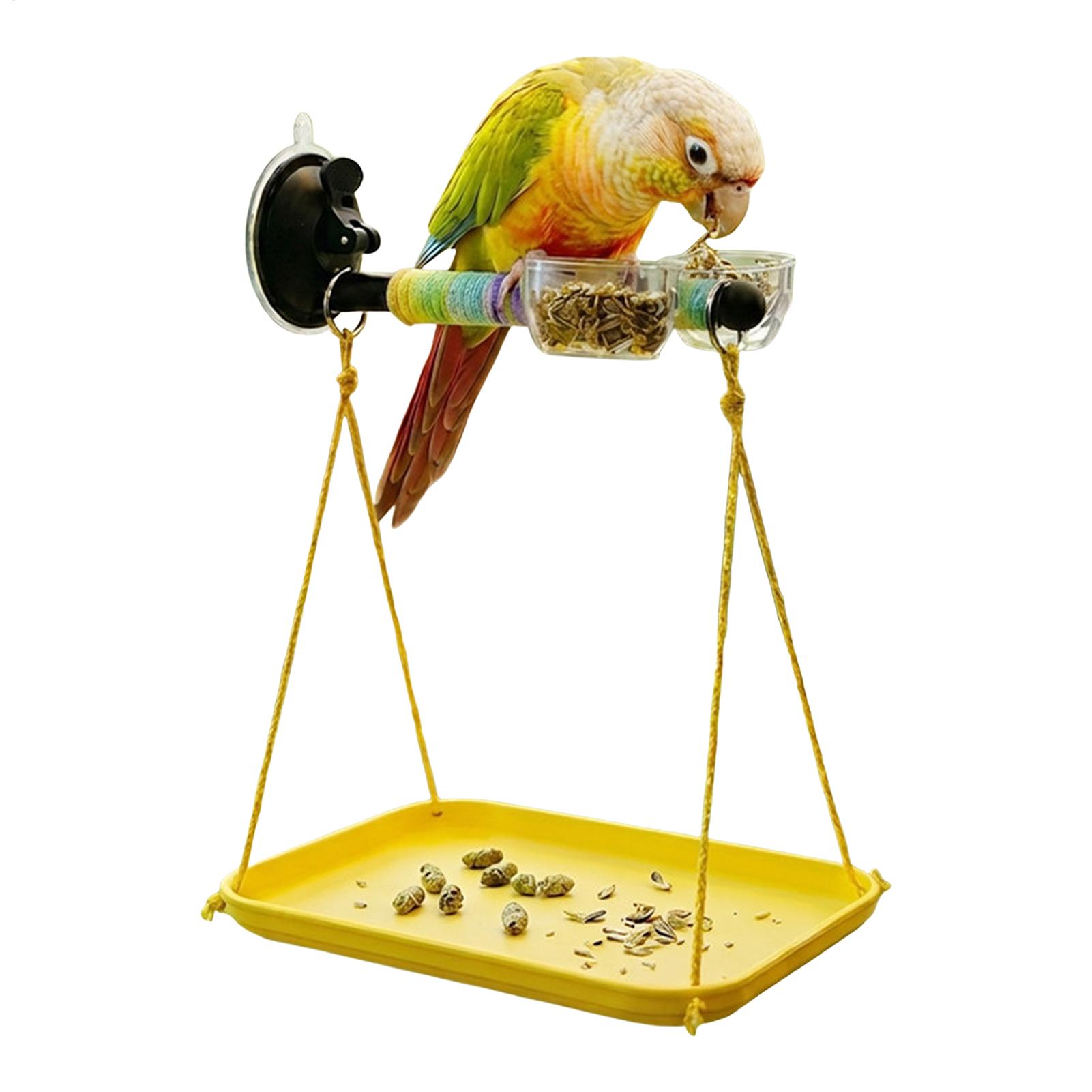 Bird Perch Stand Interactive C - Kids Outdoor Car review and price