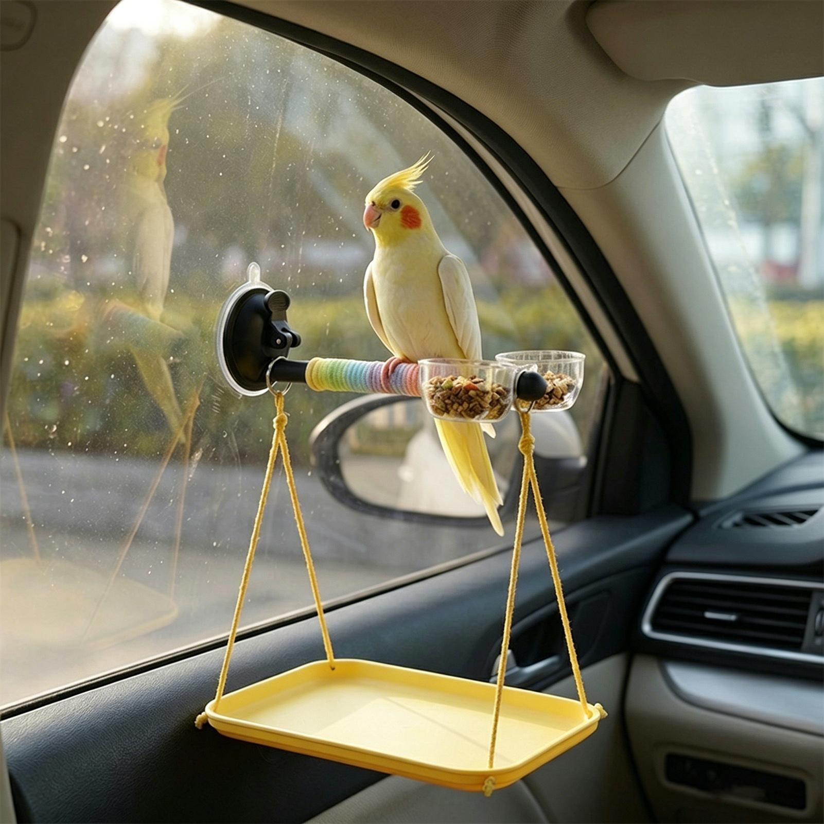 Bird Perch Stand Interactive C - Kids Outdoor Car review and price