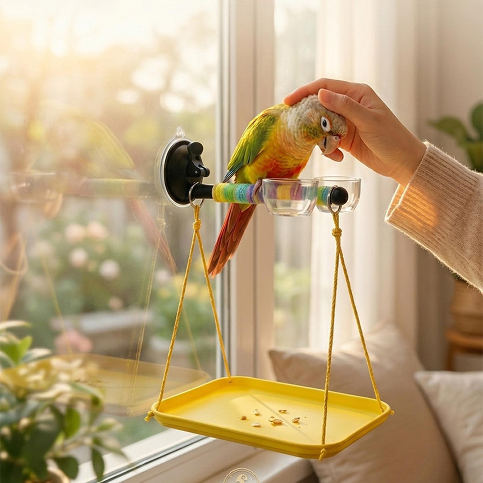 Bird Perch Stand Interactive C - Kids Outdoor Car review and price